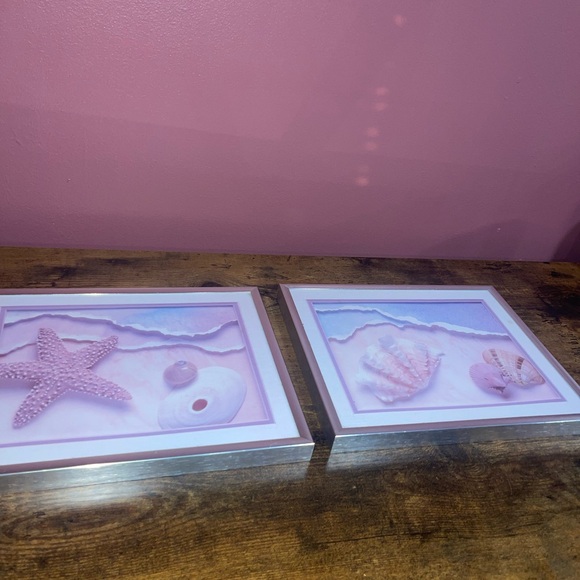 Sea Shell prints frames - Picture 4 of 12